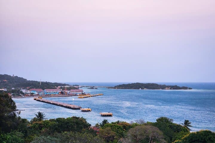 Roatan Half-Day: Coxen Hole, Mayan Eden & West Bay Beach Tour photo 6