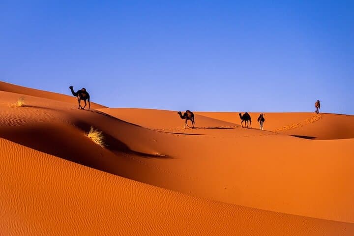 3-Day Merzouga Desert Tour from Marrakech — Erg Chebbi Camel Trek & Berber Camp