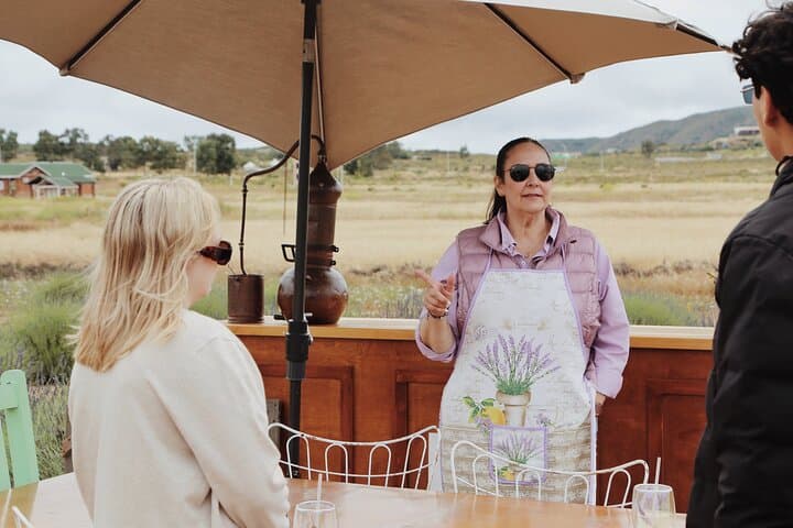 Lavender Fields Near Ensenada: Guided Distillation, Tasting & Bouquet Workshop photo 3