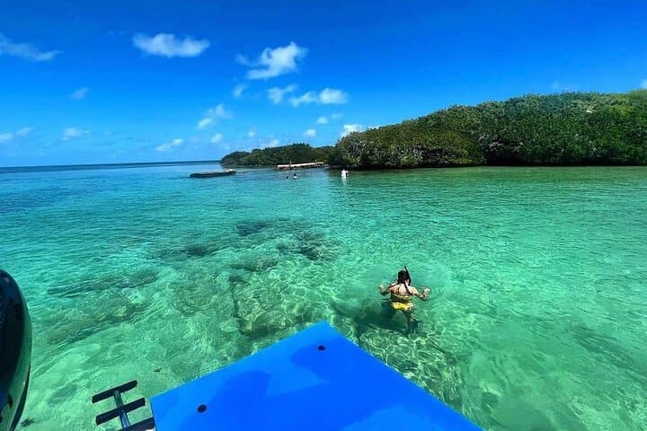 Private Biscayne Bay Day Trip from Miami — Snorkel Islands & Sandbar Charter photo 3
