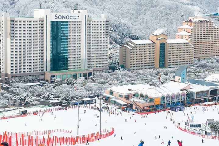 Five-Day Korea Winter: Ski Vivaldi, Jumunjin Beach & Seoul Highlights photo 2
