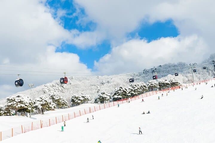 Five-Day Korea Winter: Ski Vivaldi, Jumunjin Beach & Seoul Highlights photo 3