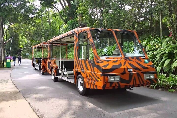 Singapore Zoo Tram Ride: Guided Wildlife Tour & Easy Exploration