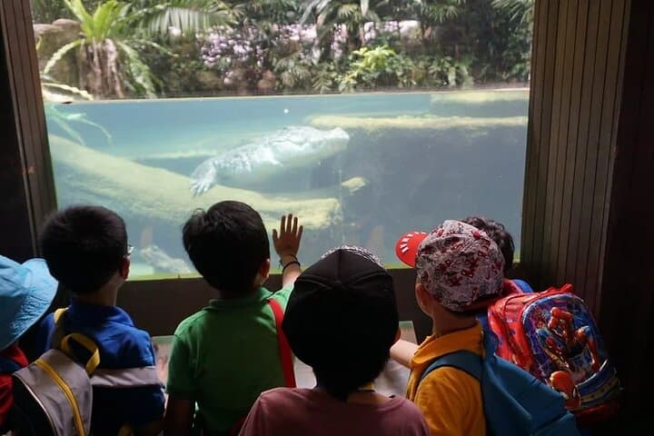 Singapore Zoo Tram Ride: Guided Wildlife Tour & Easy Exploration photo 3