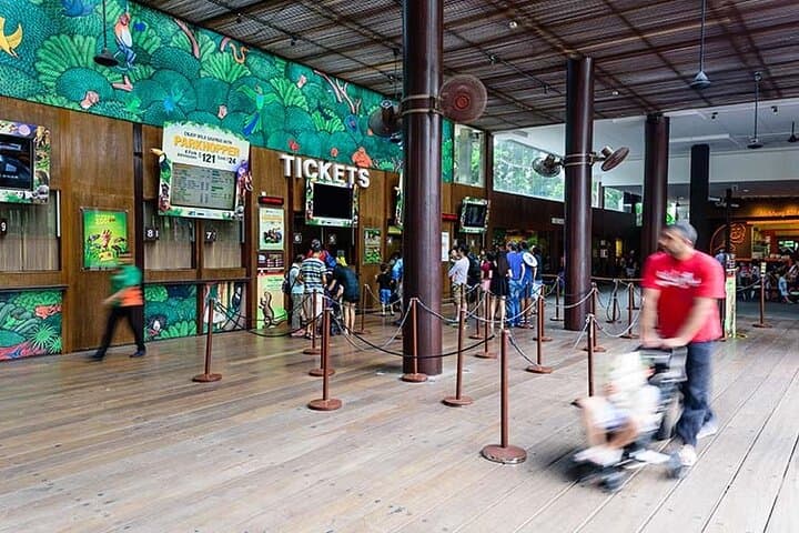 Singapore Zoo Tram Ride: Guided Wildlife Tour & Easy Exploration photo 4