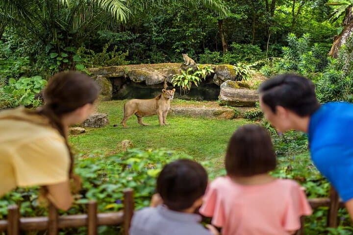 Singapore Zoo Tram Ride: Guided Wildlife Tour & Easy Exploration photo 5