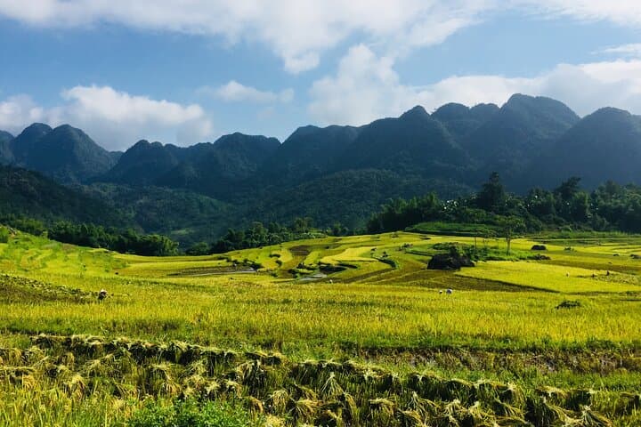 Pu Luong 2-Day Trek from Hanoi — Rice Terraces, Caves & Bamboo Rafting photo 2