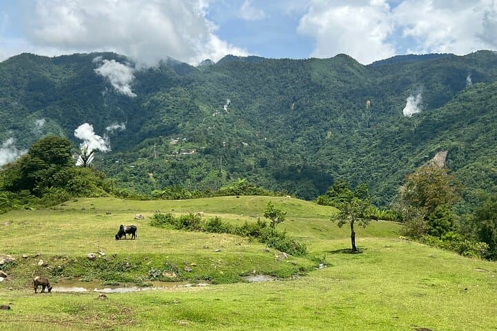 Private Dumaguete Nature & Culture Tour (English Guide) photo 3