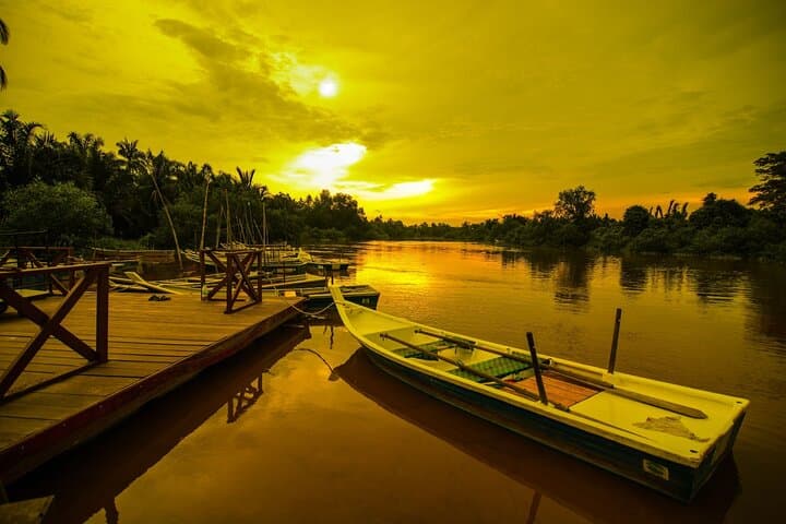 Kuala Selangor Fireflies: Private Boat Ride and Seafood Dinner from Kuala Lumpur