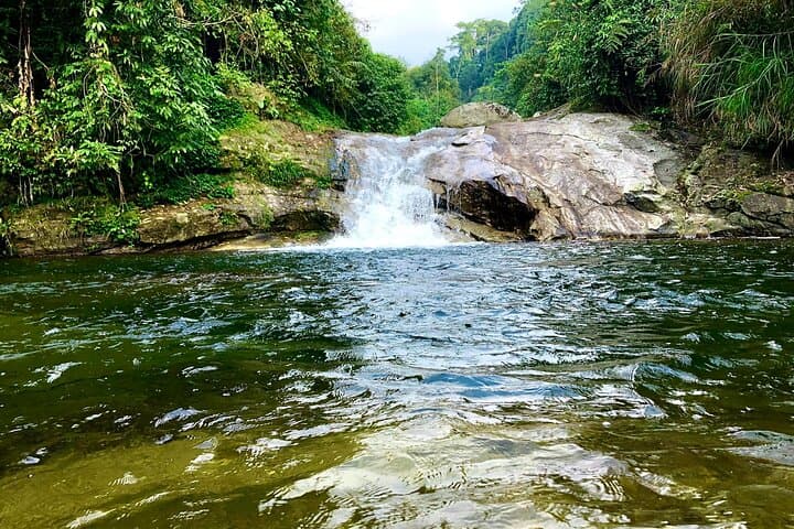 Ha Giang Red Dzao Jungle Homestay: 3-Day Cultural Trek & Tea Trail photo 5
