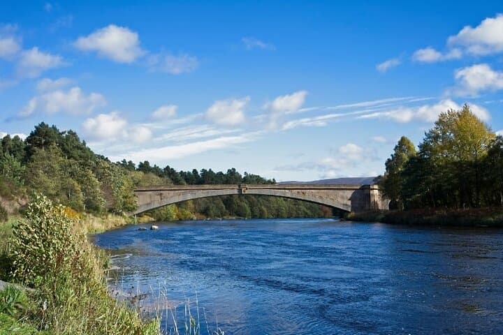 Cairngorms Day Tour — Highest Peaks, Loch Morlich Beaches & Caledonian Pine Forests photo 3