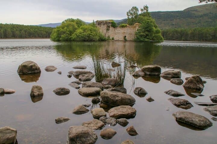 Cairngorms Day Tour — Highest Peaks, Loch Morlich Beaches & Caledonian Pine Forests photo 4