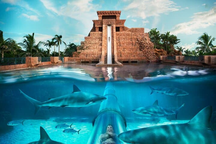 Aquaventure Waterpark Dubai Day Pass: Ultimate Guide to Atlantis The Palm photo 4