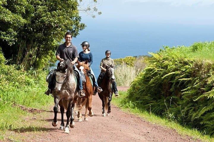 Lusitano Trail: Beginner Horseback Ride on Faial's North Cliffs photo 2