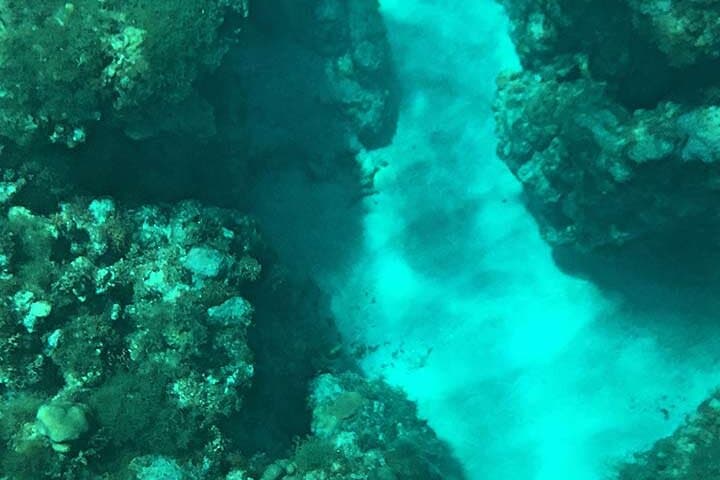 Glass-Bottom Boat Ride in Trincomalee: Coral Reefs & Sea Life Viewing photo 2