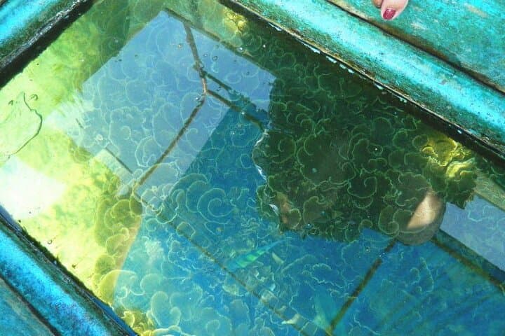 Glass-Bottom Boat Ride in Trincomalee: Coral Reefs & Sea Life Viewing photo 1