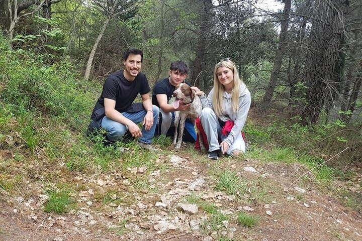 Truffle Hunting in Assisi: Private 2-Hour Foraging Walk with Truffle Dogs