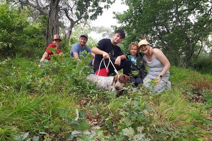 Truffle Hunting in Assisi: Private 2-Hour Foraging Walk with Truffle Dogs photo 3