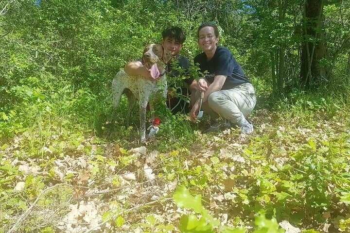 Truffle Hunting in Assisi: Private 2-Hour Foraging Walk with Truffle Dogs photo 4