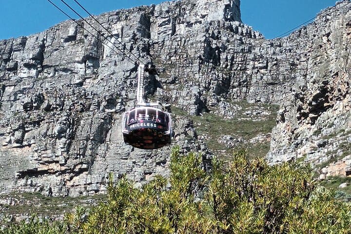 Table Mountain Cable Car: Half-Day Summit Experience, Views & Walking Trails