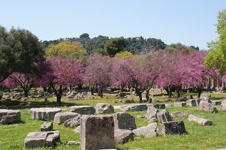 Ancient Olympia Shore Excursion from Katakolo — Small-Group Tour & Olive Oil Tasting photo 5