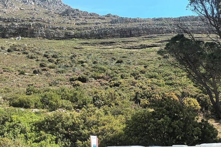 Robben Island & Table Mountain: Full-Day Cape Town History and Panorama Tour photo 2