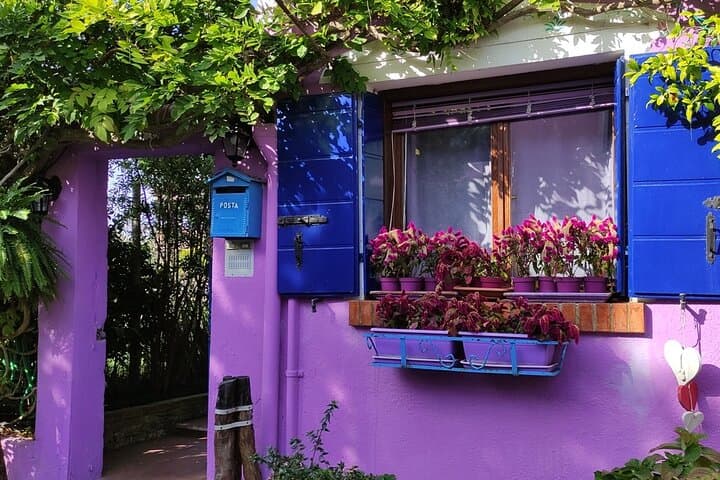 Half-Day Murano and Burano Boat Trip from Punta Sabbioni photo 4