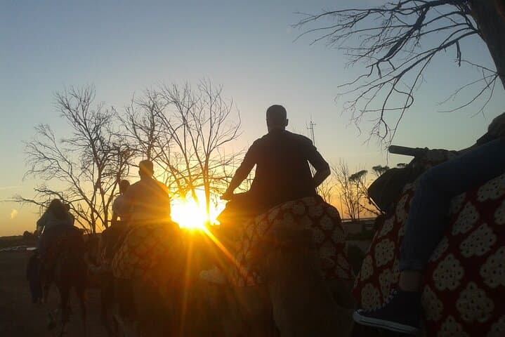 Camel Barbecue Sunset in Agadir — Dunes, Souss River & Sunset Ride