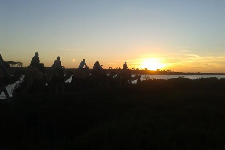 Camel Barbecue Sunset in Agadir — Dunes, Souss River & Sunset Ride photo 2