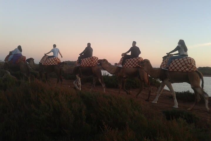 Camel Barbecue Sunset in Agadir — Dunes, Souss River & Sunset Ride photo 4