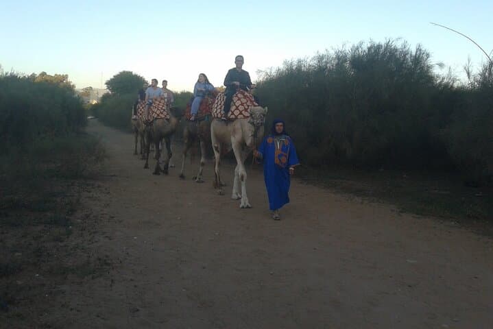 Camel Barbecue Sunset in Agadir — Dunes, Souss River & Sunset Ride photo 5