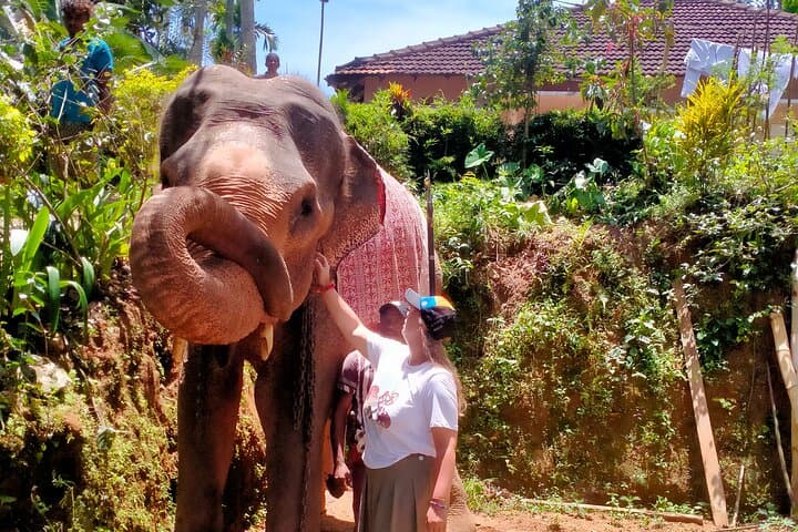7-Day Private Car & Driver Tour in Sri Lanka — Sigiriya, Kandy, Nuwara Eliya, Ella, Yala & Galle photo 3