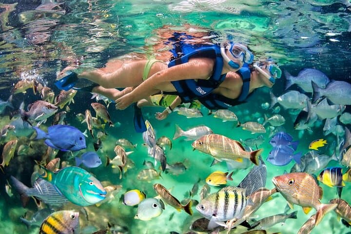 Bavaro Catamaran Cruise: Sail, Snorkel & Party in Punta Cana photo 3