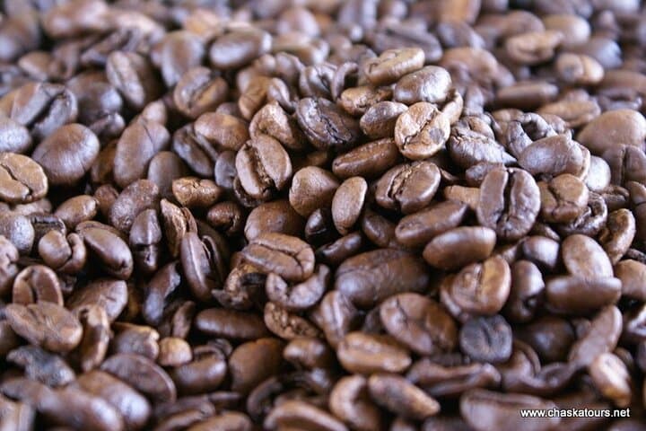 San Agustín Organic Coffee Finca Tour: Seed-to-Cup Experience at Finca La Cabaña photo 3