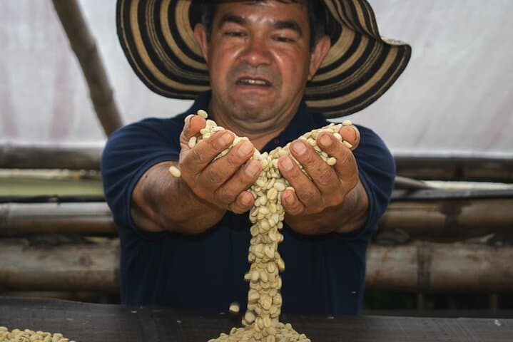 San Agustín Organic Coffee Finca Tour: Seed-to-Cup Experience at Finca La Cabaña photo 2