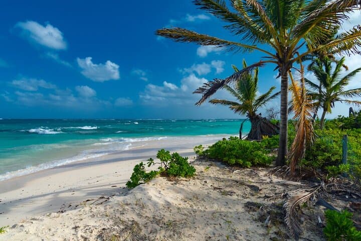 Private Beach Sancocho Cooking Experience Near Punta Cana photo 6