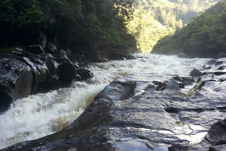 Rafting the Magdalena River: Private Guided Rapids in San Agustín photo 2