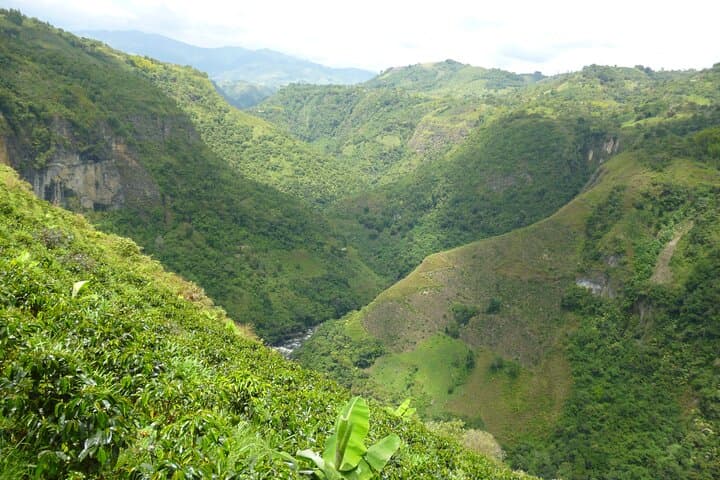 Rafting the Magdalena River: Private Guided Rapids in San Agustín photo 3