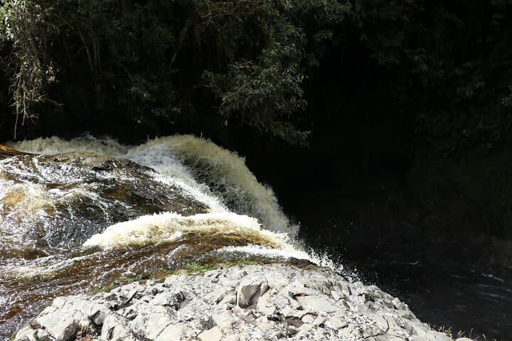 Horseback Ride to Tres Chorros Waterfall — Private Day Trip from San Agustín photo 4