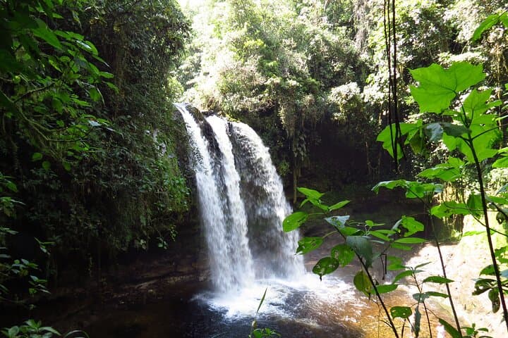Horseback Ride to Tres Chorros Waterfall — Private Day Trip from San Agustín photo 3