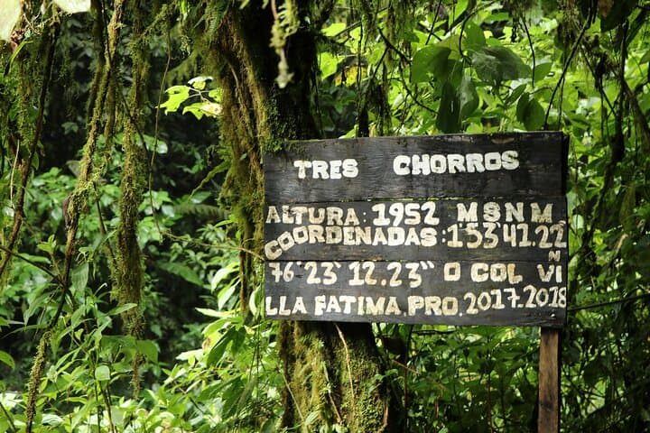 Horseback Ride to Tres Chorros Waterfall — Private Day Trip from San Agustín photo 2
