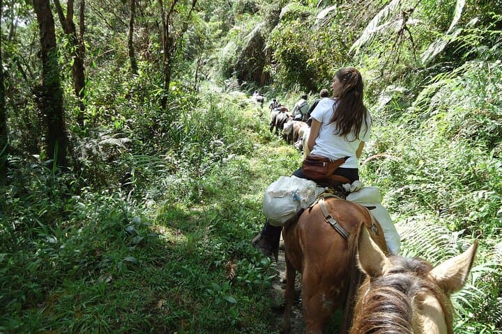 San Agustín in 2 Days: Archaeology, Horseback Trails & Organic Coffee photo 5