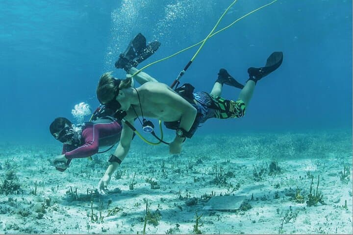 Punta Cana Catamaran Adventure — Hookah Diving, Snorkeling & Natural Pool Party photo 5