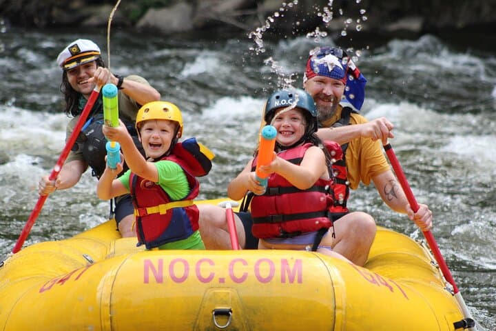 Lower Pigeon River Whitewater Rafting (Ages 3+) — Family-Friendly Smokies Raft Trip photo 4