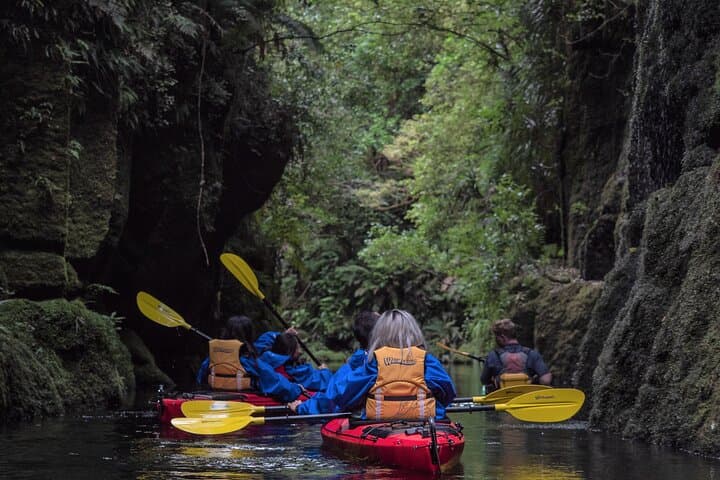 Paddle Lake McLaren: Scenic Kayak & Canoe Tour to Mangapapa Canyon from Tauranga photo 3