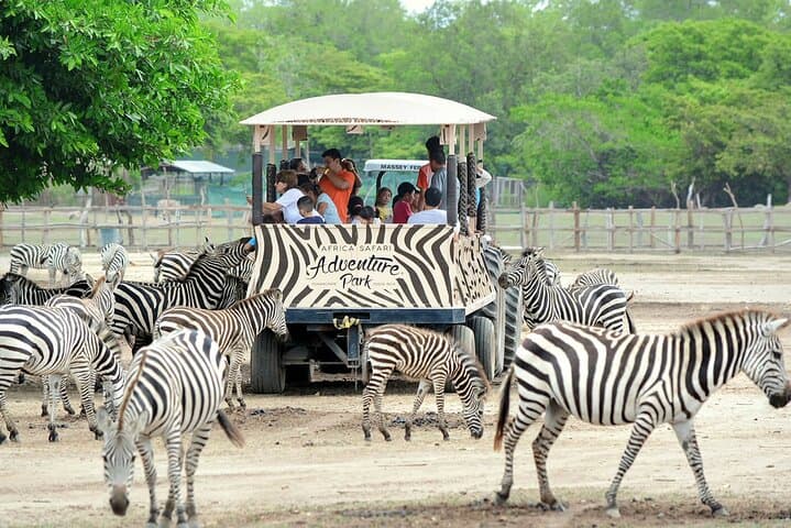 Explore Ponderosa Adventure Park: Costa Rica’s Ultimate Safari and Zipline Experience photo 2