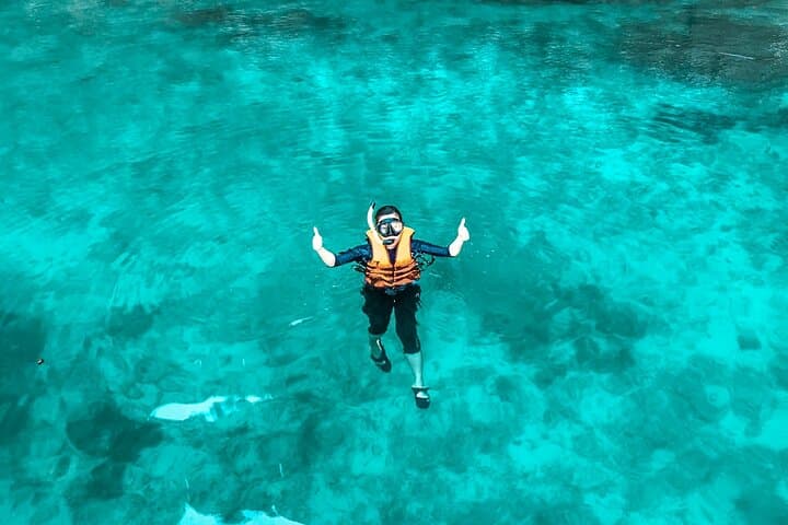 Speedboat Day Trip to Phi Phi and Bamboo Islands from Phuket photo 2