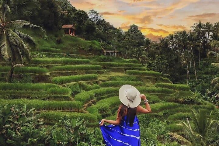 Private Full-Day Bali Healing Tour: Tirta Empul, Tegalalang & Tegenungan photo 3