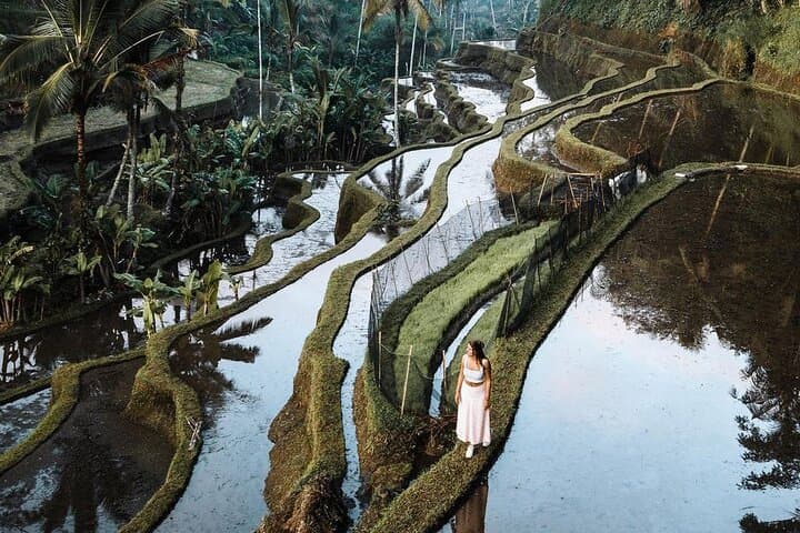 Private Full-Day Bali Healing Tour: Tirta Empul, Tegalalang & Tegenungan photo 4