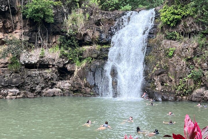 North Shore Oahu Day Tour: Waterfalls, Turtles, Dole & Haleiwa in One Day